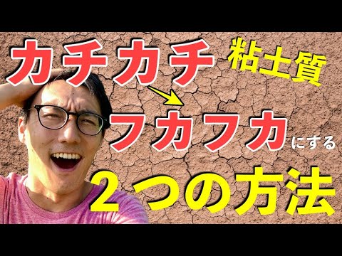ザクロ粘土質の土壌にどの果樹を植えるか