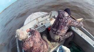 Провязы для рыбалки