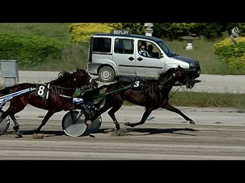 Aversa trotto 29 Maggio 2021 - 6° Corsa