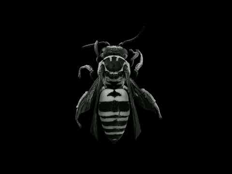 "swarm" - Kool Savas x Genetikk | Type Beat | MoeNMQ