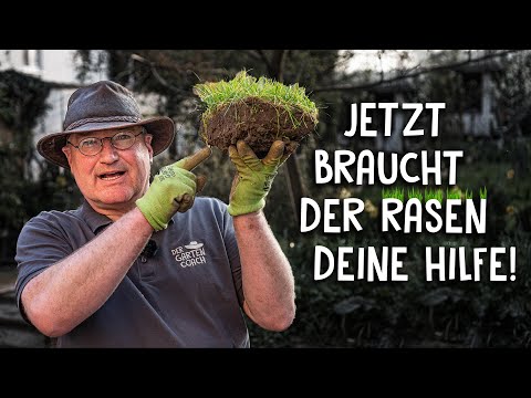 So wird dein Rasen grün und gesund! 💪🏻 - Rasen bearbeiten im Früjahr