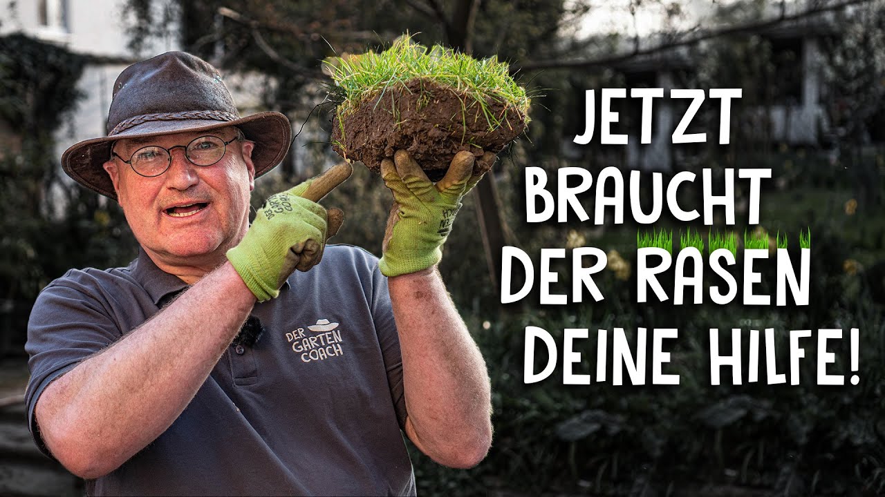 Rasenpflege Video 2