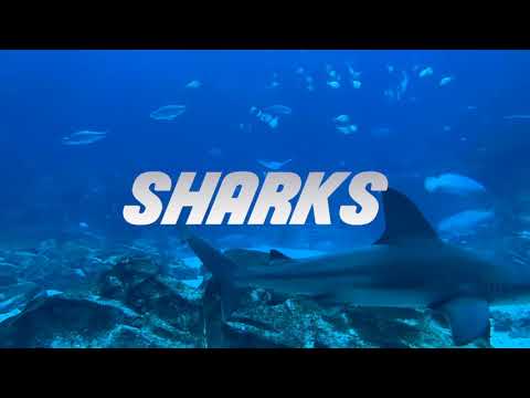 [Free For Profit] Post Malone x G Eazy Ambient Chill Synth Beat "Sharks"