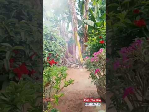 390m² đất gần biển với 8.6m mặt tiền cực đẹp trong kdc hiện hữu đông đúc bán rẻ