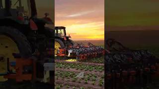 This #Machine KILLS Weeds Without Chemicals! 🤯🌱 (FarmWise Vulcan)