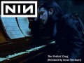 Nine Inch Nails - The Perfect Drug (Remixed By ...