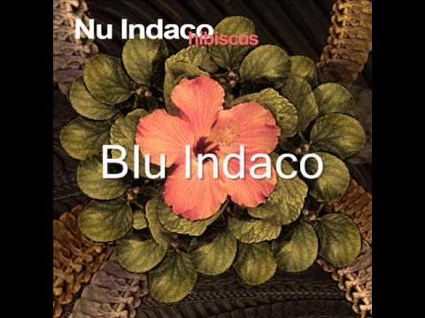Blu Indaco