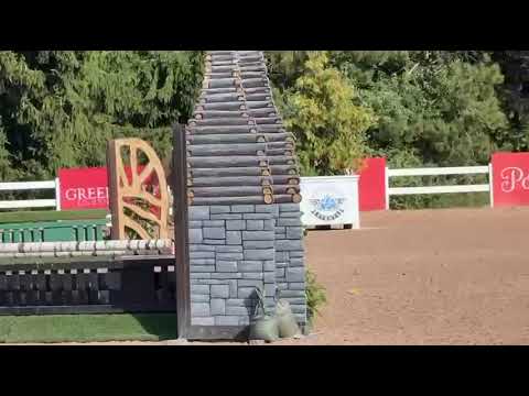Ohio VDL video 1