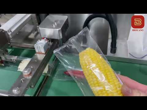 Flow Pack Machine (Packing Mop)