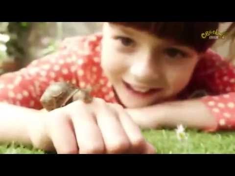 Tosia i Tymek Bajki Dla Dzieci ✤✤ Kąpanie Mosi ✤✤ Tosia i Tymek po Polsku ✓