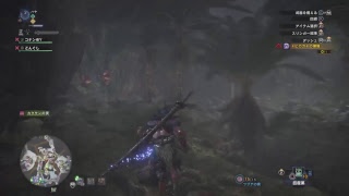実況放送  MHW フレンドとワイワイ　狩人