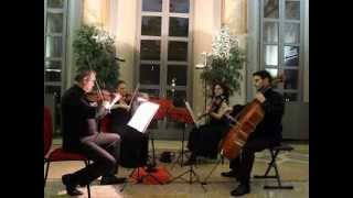 preview picture of video 'Leone Sinigaglia Hora Mystica per Quartetto d'Archi'