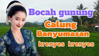 Download lagu Bocah gunung calung Banyumasan krenyes krenyes @jaiwai2s mp3