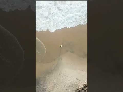 Oddayam Beach #shorts