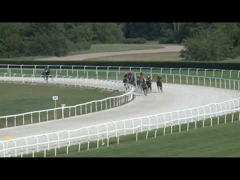 2017.08.27. 4. futam - NYERETLENEK VERSENYE (V.kat.) II. rész (szintetikus pálya)