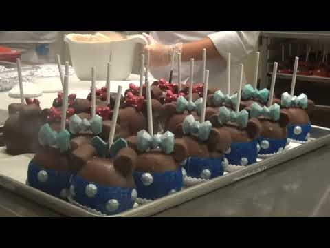 20150827 0902 DLR17 Downtown Disney Disneyland Resort hotel