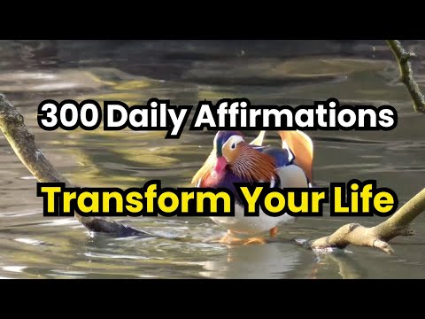 Transform Your Life: 300 Daily Affirmations for Confidence, Creativity and Abundance
