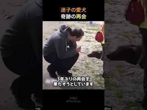 「キャッチ!」が 4 つの新しいエピソードとともに戻ってきます: ピエトロ ロンバルディが登場します