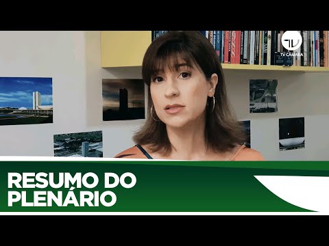 Veja o que foi aprovado no Plenário desta semana - 14/08/20