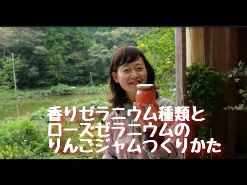 香りの良いゼラニウム、ペラルゴニウム クリスプム