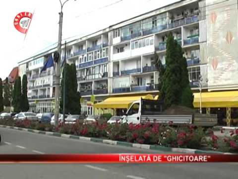 Întalnire cu ghinion, zilele trecute pentru o câmpulungeanca.