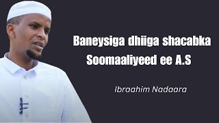 sababta ay AS u baneysteen daadinta dhiiga shacabka Soomaaliyeed