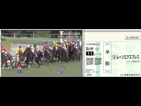 2014.12.14　第66回阪神ジュベナイルフィリーズ（ＧⅠ）