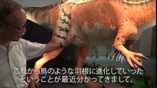 preview picture of video 'Exchange by the dinosaurs in FPDM　福井県立恐竜博物館 恐竜で交流'
