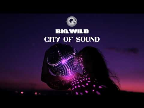 Big Wild City Of Sound