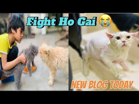 Fight Ho Gai | Shower Dena Both Easy Kam Hai 😂