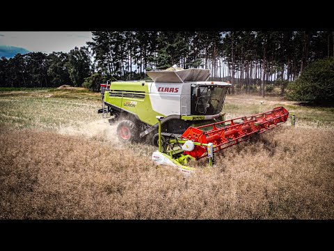 Claas Lexion 770 mit Kraft in der Getreideernte | Power ohne Kompromisse (4K) #claas #getreide