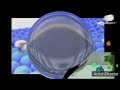 I Killed Samsung Logo Balls 9 0