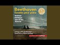 Piano Sonata No. 8 in C Minor, Op. 13 "Pathétique": I. Grave - Allegro di molto e con brio...