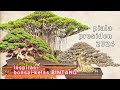 Inspirasi Bonsai Kelas Bintang Di Piala Presiden 2024