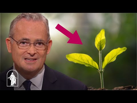 New Beginnings through Jesus Christ