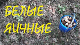 Рыбалка в станице калужской краснодарский край