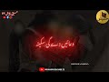 3 Muharram Status Habib ع Aa Jao Status 3 Muharram Whatsapp Status MirHasanMir