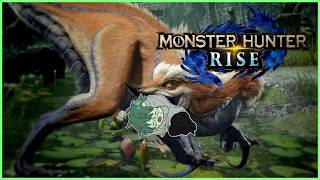 【モンハンRISE】ボコられ狩人生活３日目【実況】【雑談】