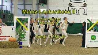 preview picture of video 'DVP 2014   Abteilung 3   02   Mainz Laubenheim II'