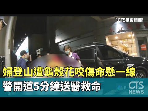 婦登山遭龜殼花咬傷命懸一線　警開道5分鐘送醫救命