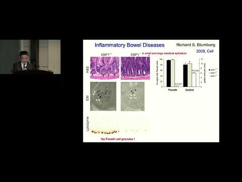 Prof. Kazutoshi Mori, KEIO Medical Science Prize's Lecture