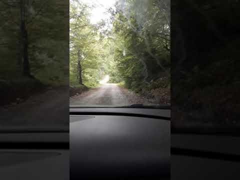 Cabana Doina Moroeni(2)