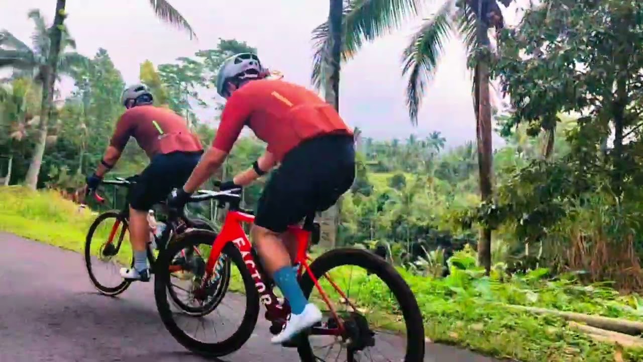 Highlights of a cycling journey through Jatiluwih Rice Terraces.