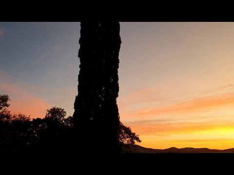 Allan Holdsworth Trio, Hollywood (1997)