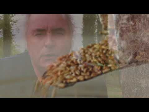 Domenica 18 settembre, commento al vangelo di Luigi Verdi