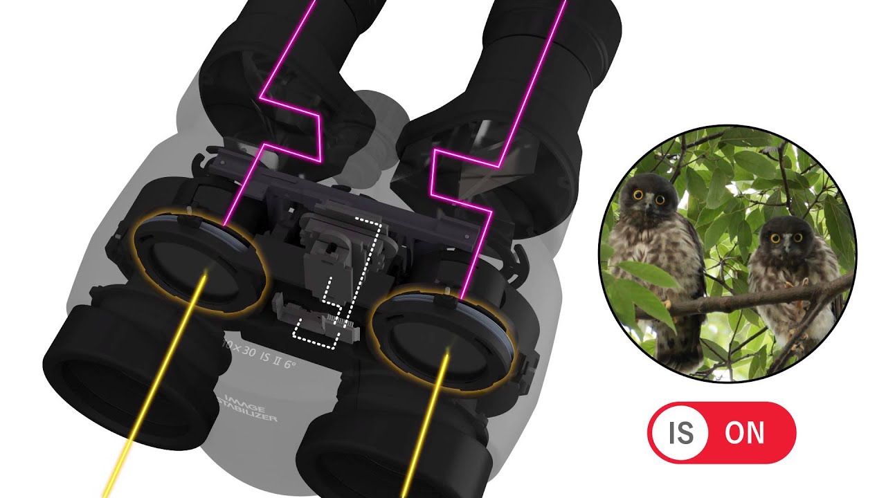 Бх8 бинокль сетка. Бинокль бкс 20х50 со стабилизацией. Canon 10x42l. Бинокль фарвижн бкс 20х50. Бинокль зомз бпшц-2-10х50.