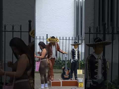 A dónde lo han visto? #manizales #caldas