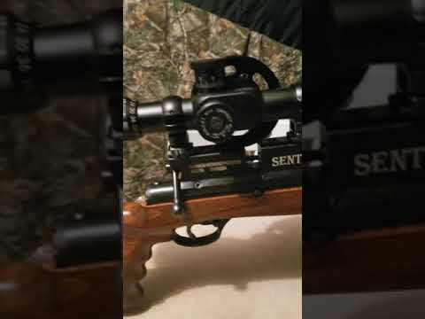 QUICK ONCE OVER ON THE XISICO SENTRY PCP AIRGUN IN22.