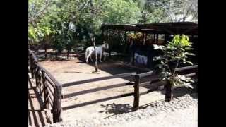 preview picture of video 'Quinta con cuadras para caballos en Ciudad Colon'