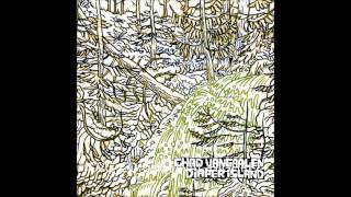 Chad Vangaalen - You Changed Your Name